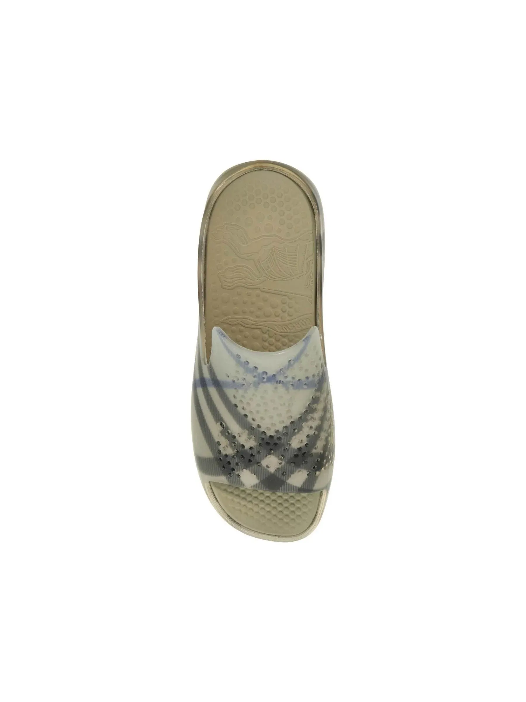 Stingray Slides Check